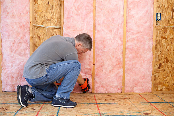 Best Types of Insulation in Clermont, GA